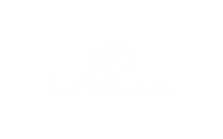 11 Lexus