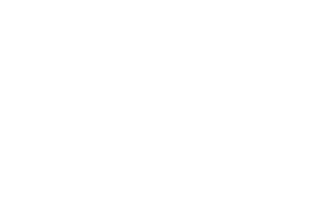 12 CGTN